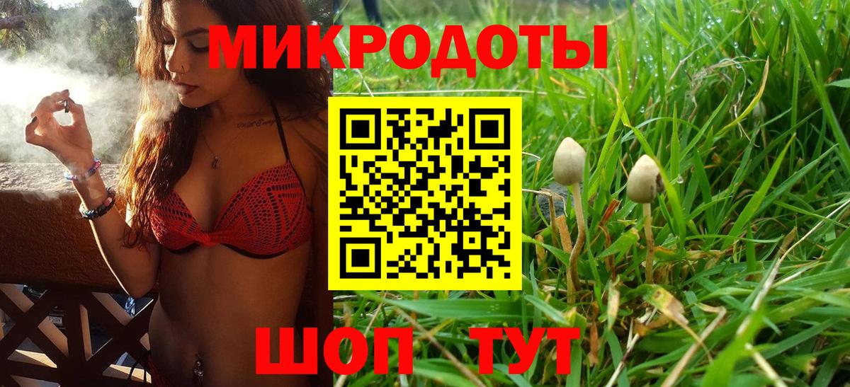 Галлюциногенные грибы Psilocybine cubensis  Вход с VPN  Мирный 
